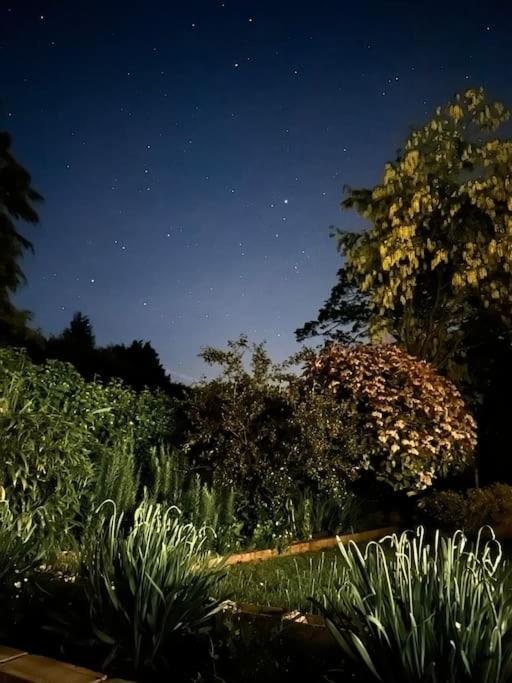 Linden Suite Goring Buitenkant foto