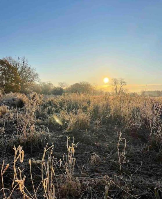 Linden Suite Goring Buitenkant foto